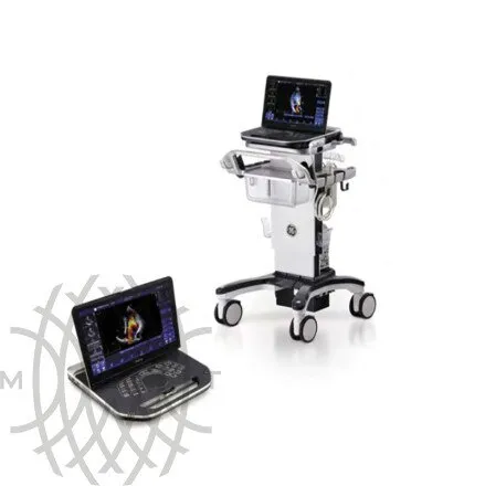 GE HealthCare Vivid iQ УЗИ аппарат портативный